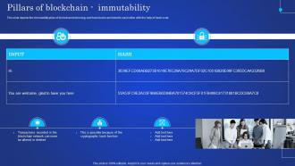 Digital Ledger It Pillars Of Blockchain Immutability Ppt Styles Outfit Ppt Show Tips