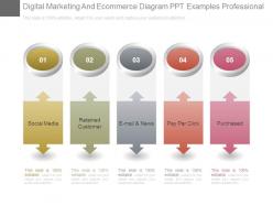 Digital marketing and ecommerce diagram ppt examples professional