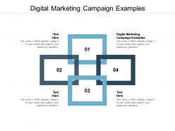 Digital marketing campaign examples ppt powerpoint presentation summary graphics design cpb