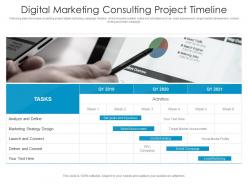 Digital marketing consulting project timeline