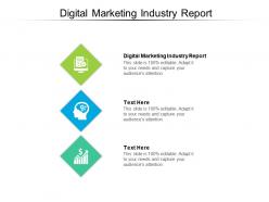 Digital marketing industry report ppt powerpoint presentation show introduction cpb