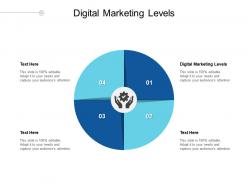 Digital marketing levels ppt powerpoint presentation infographics graphics example cpb
