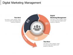 Digital marketing management ppt powerpoint presentation file portrait cpb