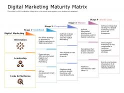 Digital marketing maturity matrix