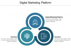 Digital marketing platform ppt powerpoint presentation icon example topics cpb
