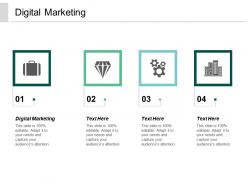 Digital marketing ppt powerpoint presentation gallery ideas cpb