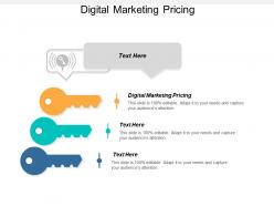 Digital marketing pricing ppt powerpoint presentation icon show cpb