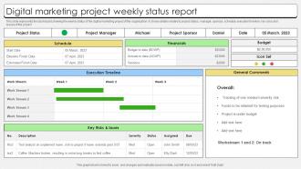 Digital Marketing Project Weekly Status Report