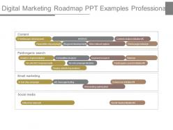 Digital marketing roadmap ppt examples professional