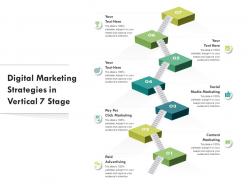 Digital Marketing Strategies In Vertical 7 Stage