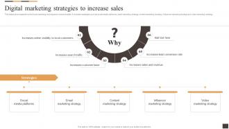 Digital Marketing Strategies To Increase Sales Applying Multiple Marketing Strategy SS V
