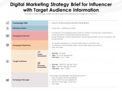 Digital marketing strategy brief for influencer with target audience information