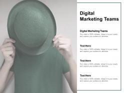 Digital marketing teams ppt powerpoint presentation icon guidelines cpb