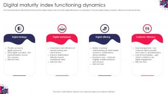 Digital Maturity Index Functioning Dynamics