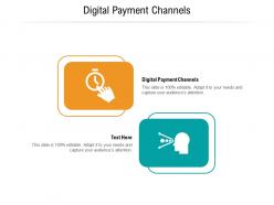 Digital payment channels ppt powerpoint presentation templates cpb