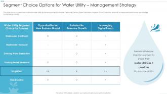 Digital Platforms And Solutions Segment Choice Options For Water Utility Management Strategy