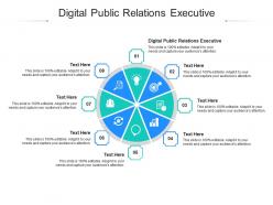 Digital public relations executive ppt powerpoint presentation file topics cpb