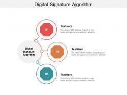 Digital signature algorithm ppt powerpoint presentation infographic template slide portrait cpb