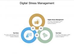 Digital stress management ppt powerpoint presentation graphics cpb