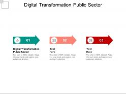 Digital transformation public sector ppt powerpoint presentation infographics icon cpb