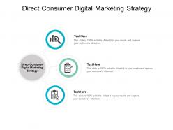 Direct consumer digital marketing strategy ppt powerpoint presentation file cpb