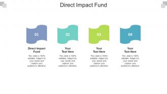 Direct impact fund ppt powerpoint presentation model images cpb