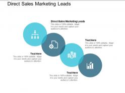 Direct sales marketing leads ppt powerpoint presentation styles slide portrait cpb