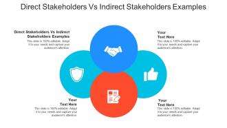 Direct stakeholders vs indirect stakeholders examples ppt powerpoint presentation cpb