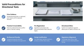 Directional Testing Audit PPT Structure VA Graphical Adaptable