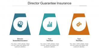 Director Guarantee Insurance Ppt Powerpoint Presentation Show Slide Cpb