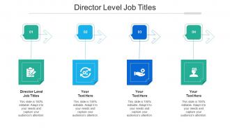 Director Level Job Titles Ppt Powerpoint Presentation Visual Aids Outline Cpb
