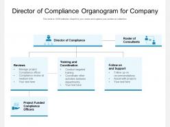 Director Of Compliance Organogram For Company