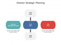 Director strategic planning ppt powerpoint presentation ideas brochure cpb