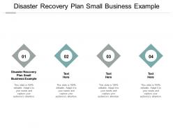 Disaster recovery plan small business example ppt powerpoint presentation portfolio pictures cpb