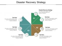 Disaster recovery strategy ppt powerpoint presentation show elements cpb