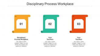Disciplinary process workplace ppt powerpoint presentation portfolio demonstration cpb
