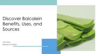 Discover Baicalein Benefits Uses And Sources PPT PowerPoint ST AI