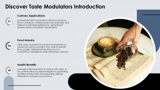 Discover Taste Modulators Enhance Flavor Profiles PPT Template ST AI Adaptable Idea