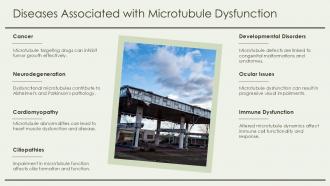 Diseases Associated With Microtubule Dysfunction Mtoc Microtubule PPT Sample ACP