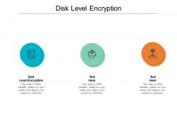 Disk level encryption ppt powerpoint presentation layouts file formats cpb