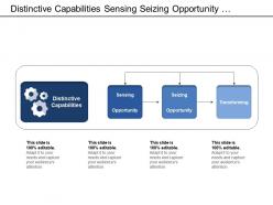 Distinctive Capabilities Sensing Seizing Opportunity Transforming
