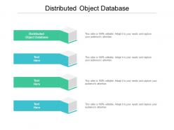 Distributed object database ppt powerpoint presentation show model cpb