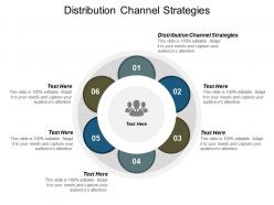 Distribution channel strategies ppt powerpoint presentation ideas grid cpb