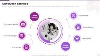 Distribution Channels Cosmetic And Beauty Products Company Profile