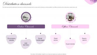 Distribution Channels Cosmetic Brand Company Profile Ppt Elements