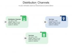 Distribution channels ppt powerpoint presentation pictures guidelines cpb