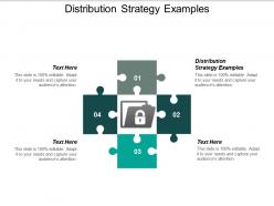 Distribution strategy examples ppt powerpoint presentation pictures file formats cpb