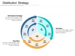 Distribution strategy ppt powerpoint presentation gallery grid cpb