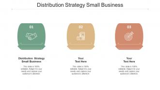 Distribution Strategy Small Business Ppt Powerpoint Presentation Slides Example Introduction Cpb