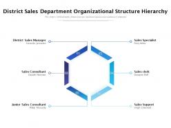 District sales department organizational structure hierarchy